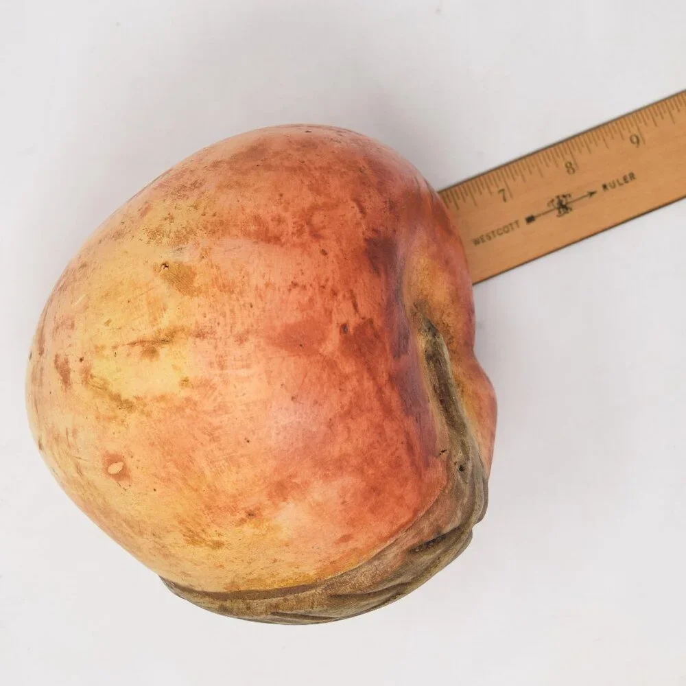 Oversized Peach Statue Fruit Decor Nature Large MCM Cottagecore Farmhouse Granny - Picture 15 of 16